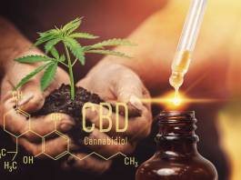 Oleje CBD, cieszą się coraz większą popularnością