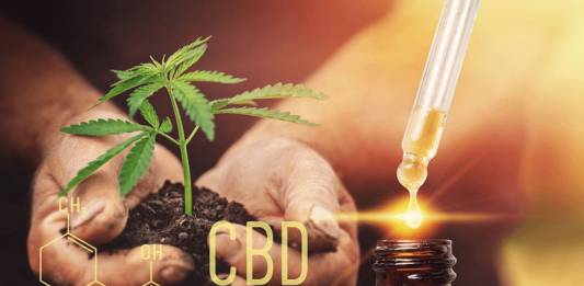 Oleje CBD, cieszą się coraz większą popularnością